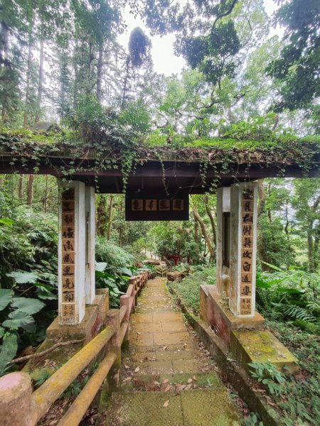 苗栗獅潭鳴鳳古道2929619