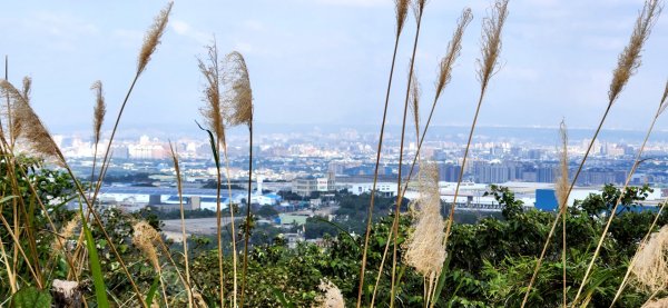 桃園石門山，小烏來瀑布，角板山，食水坑步道，三峽五寮尖山，拉卡山，東眼山，東滿步道，烏來桶后林道1973208