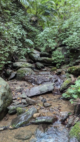 113.06.22坪溪古道-石坑山之旅2533784