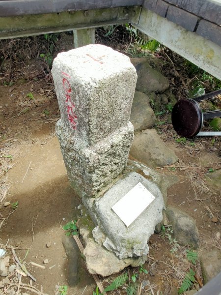 土城天上山(小百岳018 H430M)2021-10-091483680