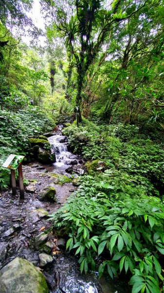 抹茶山，聖母登山步道，隆隆山，福卯古道，水柳腳登山步道，觀音台步道，北勢溪自行車道1742240