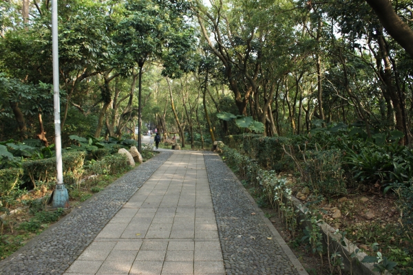 20170107台灣桃園虎頭山步道90647