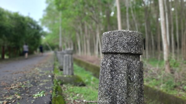 《南投》颱風過後｜竹山下坪吊橋河岸步道202407272559816