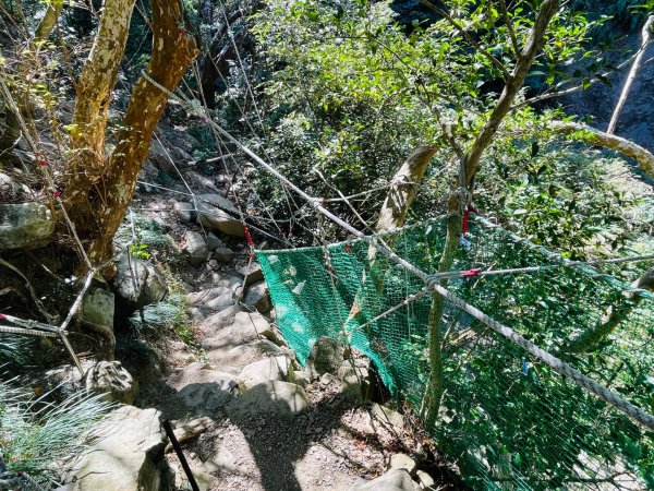 1150123里龍山2986683