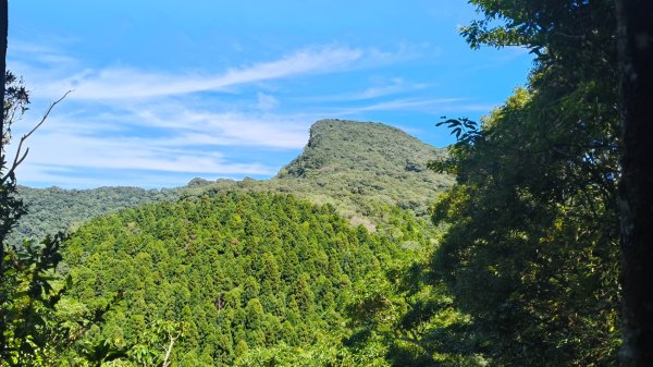 外鳥嘴蓮包山O縱2893185