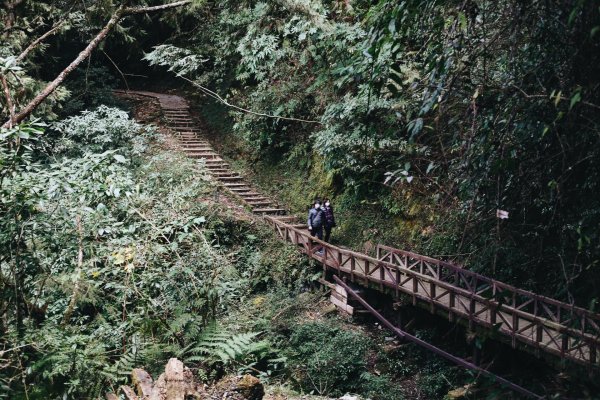 嘉義｜特富野古道1038071