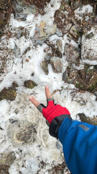 東埔-排雲-玉山西峰-玉山主峰2753134