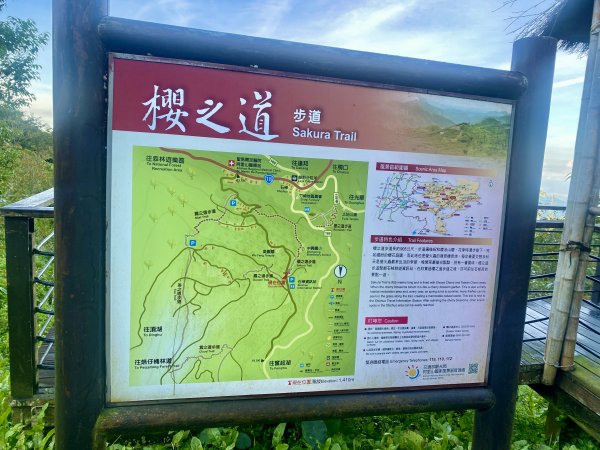 頂石棹步道、迷糊步道、福山古道悠遊    2023.8.242262387