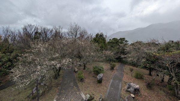 114.12.27尖山-40砲陣地之旅2971740