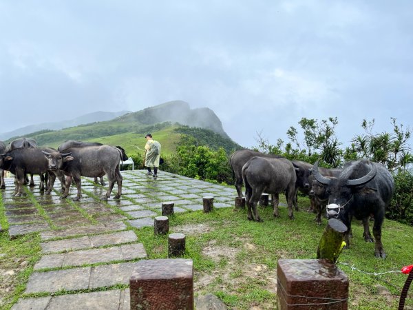 20250507_桃源谷步道2855873