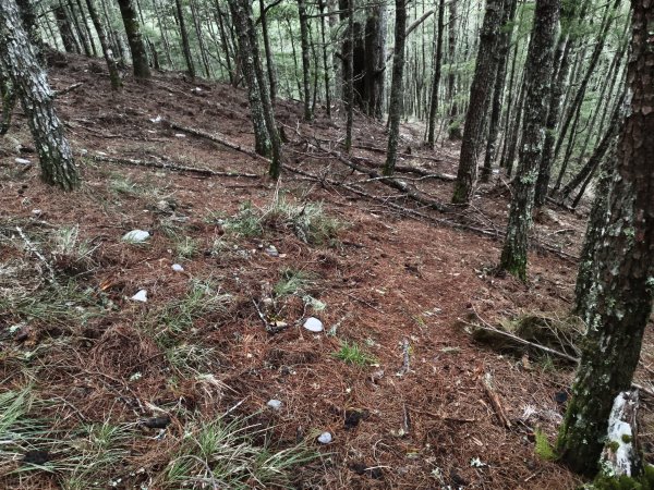 北一段(05/14)南湖南峰 2025_0906~132886501