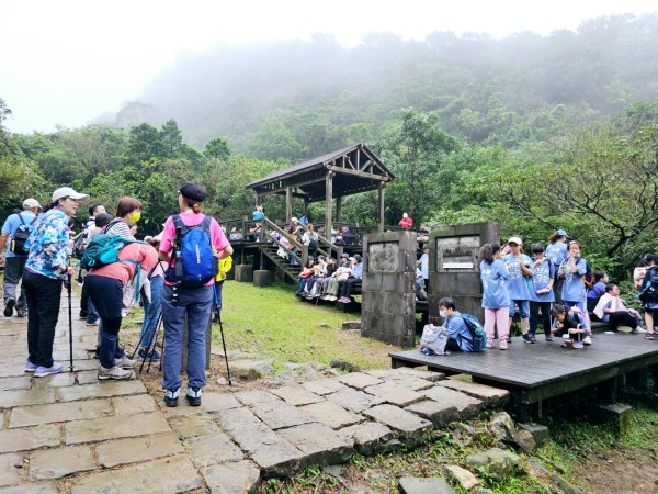 草嶺古道 - 2024草嶺古道芒花季2650872