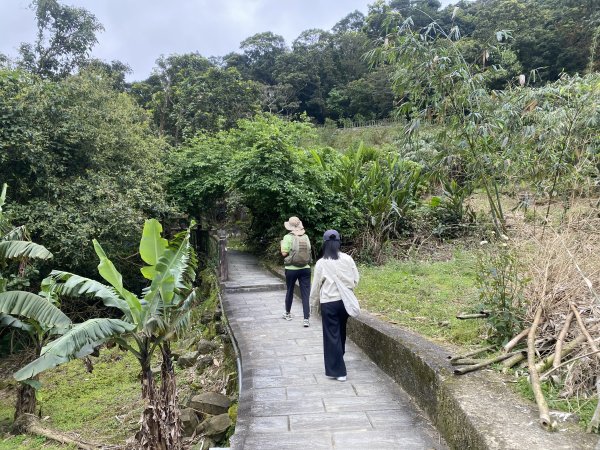 台北大縱走2026｜一天解鎖7顆寶石💎還嚕到4隻貓！第七段｜指南宮千階梯→貓空→樟湖步道→樟山寺3021797