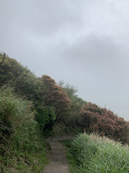 七星山主峰914499