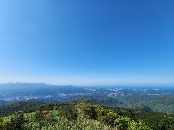 20250322-姜子寮山2739998