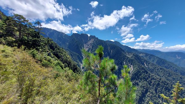 玉山主峰1105149