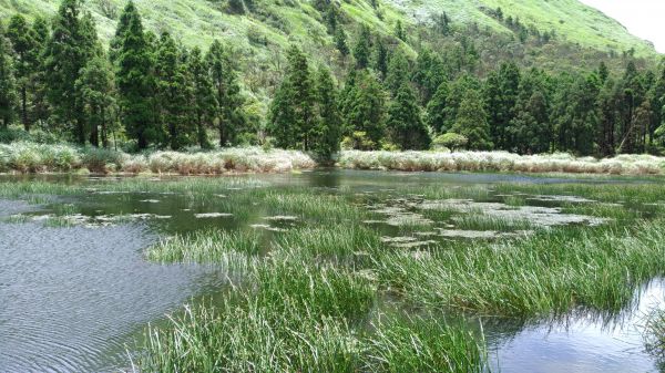 醉在.......如夢似幻138168