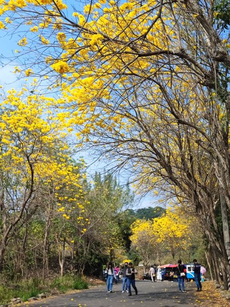 坑內坑森林步道-(彰化)臺灣百大必訪步道2447007