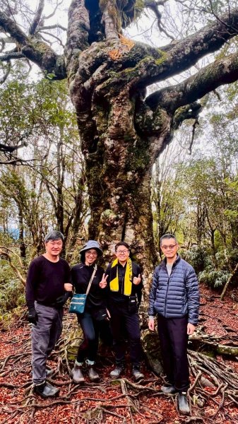 🌈12/28（日）北得拉曼神木+內鳥嘴山✨FB：熊熊趴爬走🌈2971281