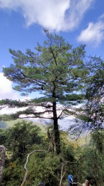 石水山 真鹿林山 鹿林天文台1492532