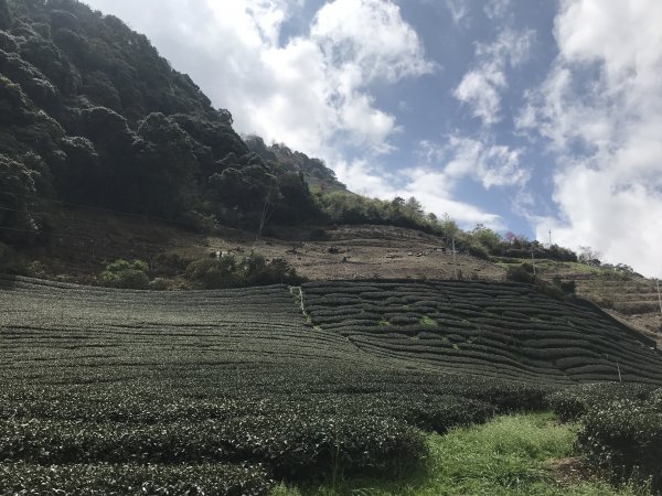 廬山六寶之三寶1300486