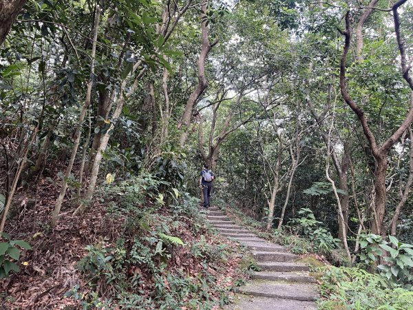 [微笑山線_第五段] 2025_0705 天上山系_國旗嶺2830067