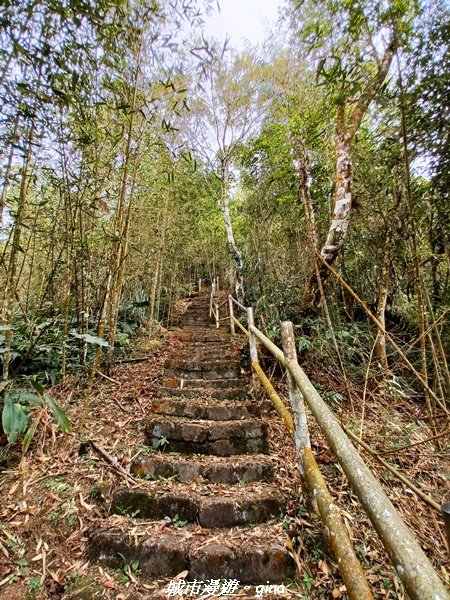 【嘉義。番路】悠悠靜靜。 小百岳集起來。 編號61小百岳~大湖尖山1580396