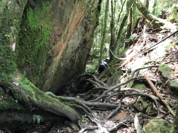 鹿場上加里山環走森林鐵道599362