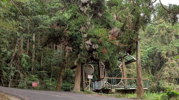 貓囒山步道2928529