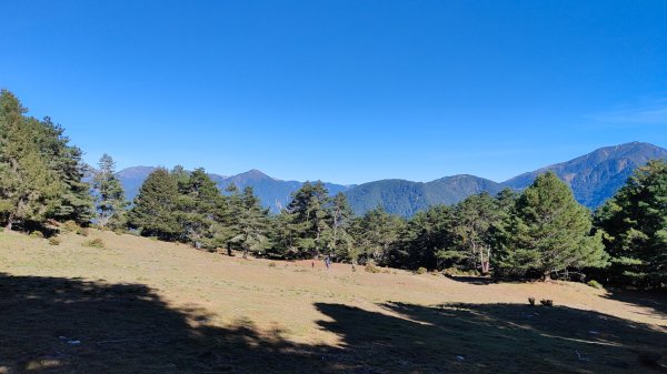 東埔上郡大山下對關山龍貓公車 2024年12月1日2659495