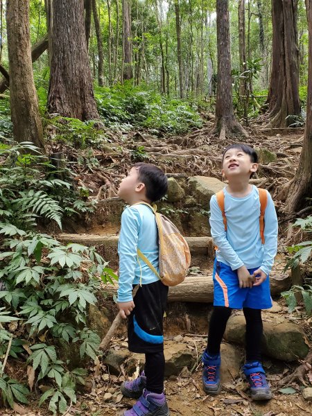 阿興阿賢北得拉曼步道、內鳥嘴山723044