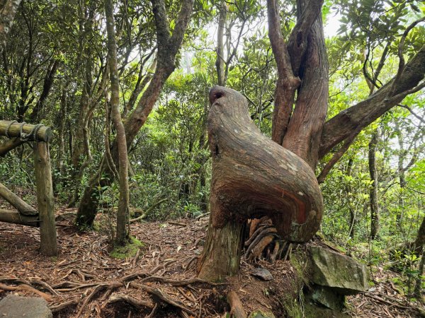 橫嶺山／沙蓮山／笛吹山O繞2787682