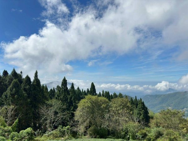 20251029石棹茶、霧、雲、霞、櫻、愛之道 樂野山 霹靂山2926618