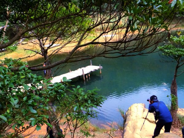 【湖景步道】新山夢湖尋幽記140826
