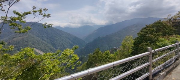 拉拉山國家森林遊樂區2752267