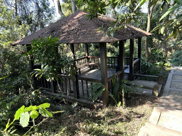 清水岩中央嶺造林步道2957432