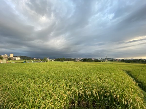 20250705-Ep.04三段崎古道-2025森遊竹縣皮皮獅探險隊2851523