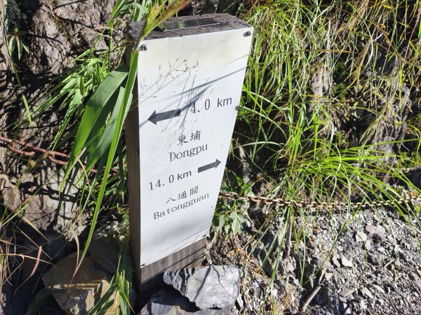 [玉山尋寶任務-07/12] 2025_0824 八通關雲龍瀑布步道2870657