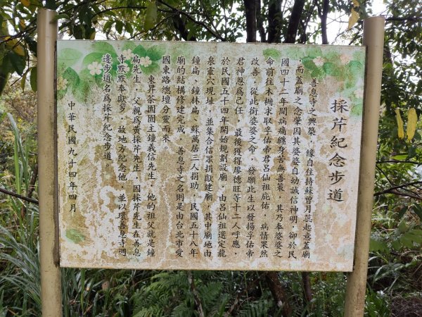 微笑山線：【天上山系】望月亭桐花段3001589