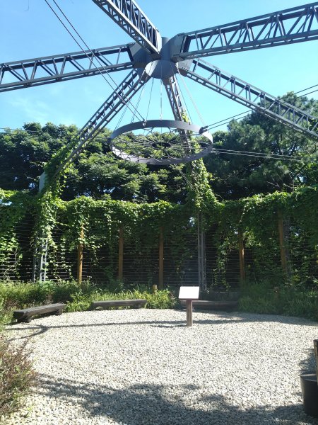 霄裡好風光,運動樂悠遊-大湳森林公園2814914