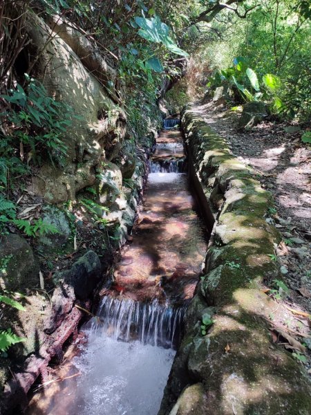 十八挖水圳，大屯瀑布，陽峰古道2219849