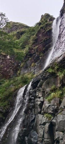 金山區倒照湖-阿里磅稜線路-阿里磅瀑布-竹子山古道-倒照湖47號P字走3134779