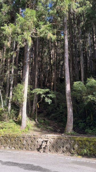 20250913小百岳三星山2885240