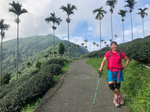 後棟山經挑筍古道上大尖山再走樟湖山1100389