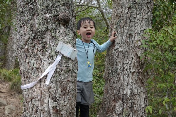 阿興阿賢苗栗虎山1298129