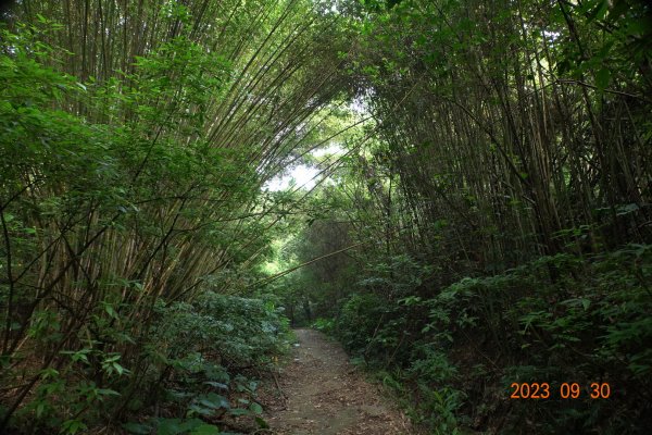 苗栗 大湖 玉女山、金童山、汶水山2301469