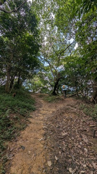 113.06.08阿四坑山-龜公山-牛灶坑山-彰埔坑山2530095