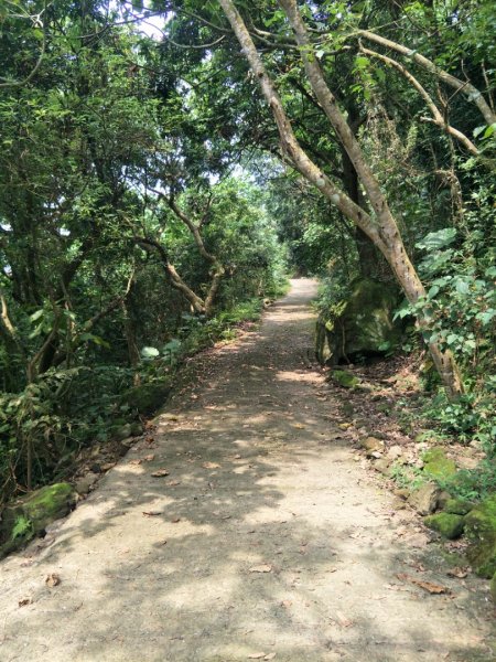 龍麟山步道1462770