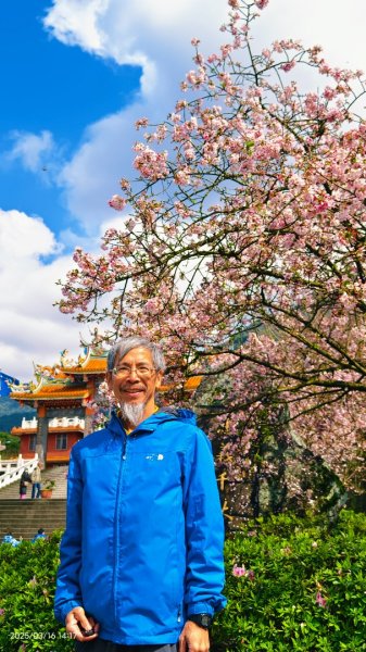 #綠繡眼 訪花 #吉野櫻 #天元宮 #楓樹湖 03162736692