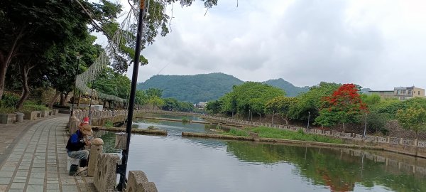 20230610_牛欄河河濱步道2178379